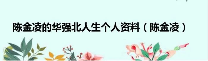 陈金凌的华强北人生个人资料（陈金凌）