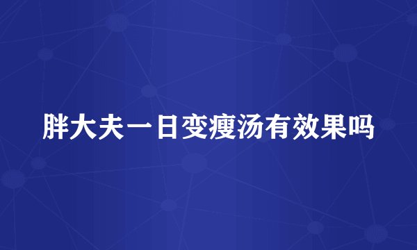 胖大夫一日变瘦汤有效果吗