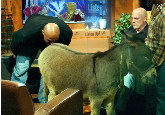 凯尔特人的连胜还能持续多久，连胜最有可能被哪支球队终结？