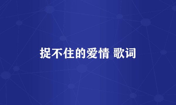 捉不住的爱情 歌词