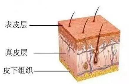 十个纹眉九个后悔图片