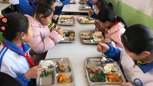 新乡一学校学生集体呕吐校长痛哭换不动送餐公司，此事背后有何隐情？