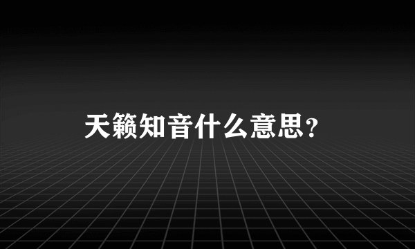 天籁知音什么意思？