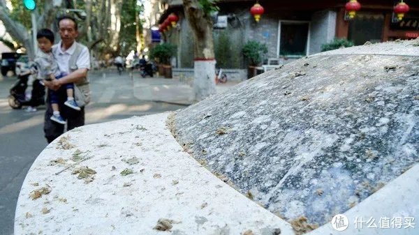 汽车车衣选购指南