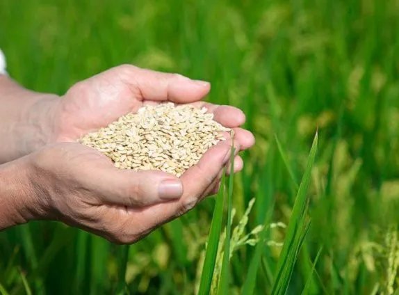 全球6.9亿人还在挨饿，如何避免不必要的浪费？