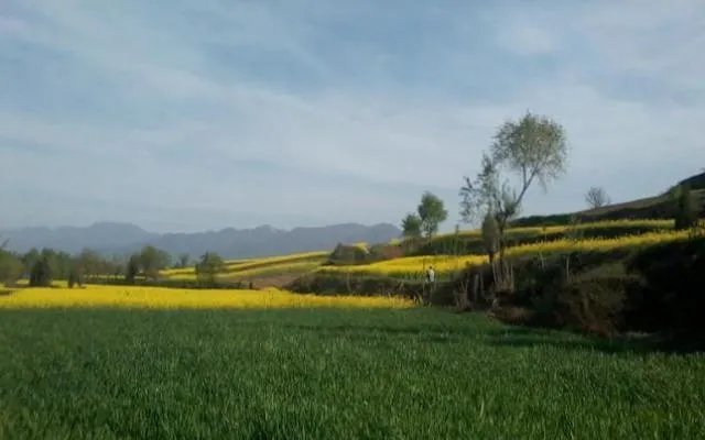 秦岭72峪最值得去的几个