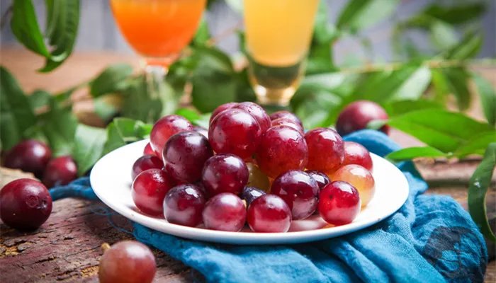 巨峰葡萄产地在哪 巨峰葡萄产地是什么地方