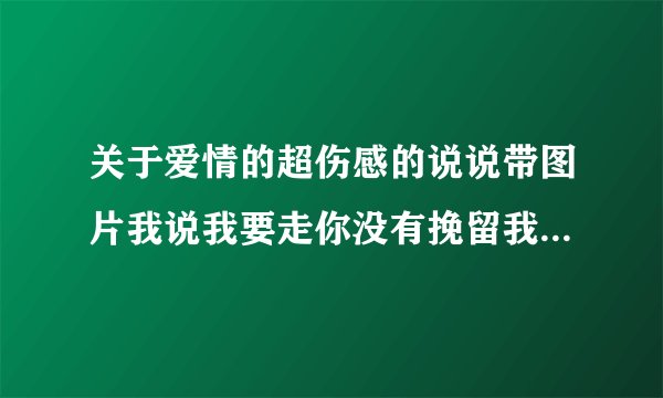 关于爱情的超伤感的说说带图片我说我要走你没有挽留我也没有回头