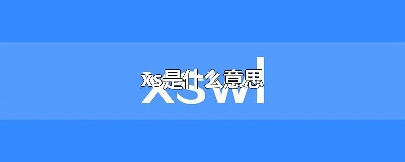 xs是什么意思