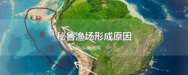 秘鲁渔场形成原因