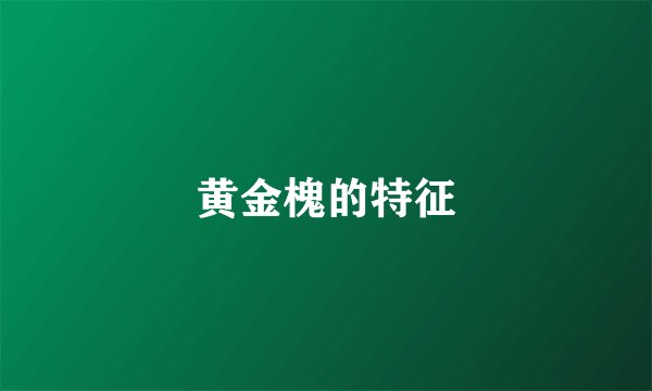 黄金槐的特征