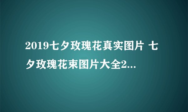 2019七夕玫瑰花真实图片 七夕玫瑰花束图片大全2019唯美