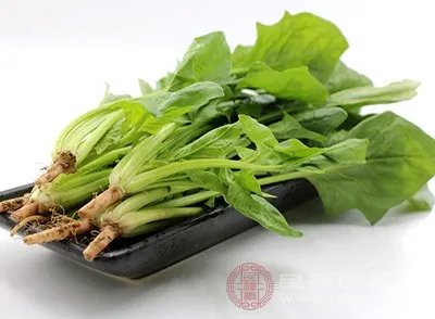 生发食物有哪些