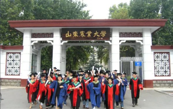 山东农业大学本部地址