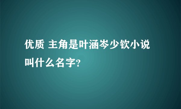 优质 主角是叶涵岑少钦小说叫什么名字？