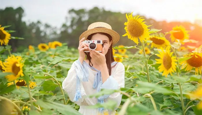 newsmy纽曼是哪个国家的品牌 newsmy纽曼是哪里的品牌