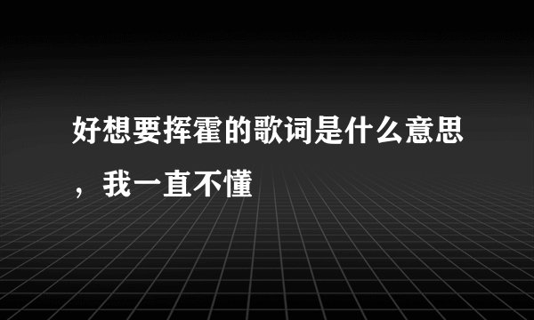 好想要挥霍的歌词是什么意思，我一直不懂