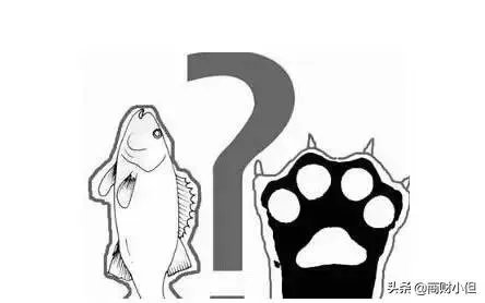 鱼与熊掌不可兼得，是形容理财的什么特点？