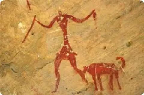 厂花是什么？陈坤为什么被叫厂花