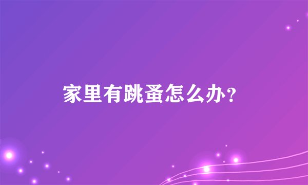 家里有跳蚤怎么办？