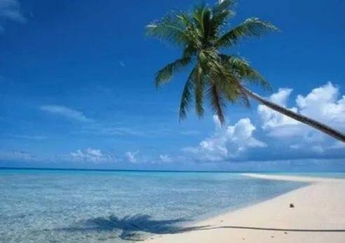 16号台风最新消息今天 台风浪卡直奔海南风力还会继续增强