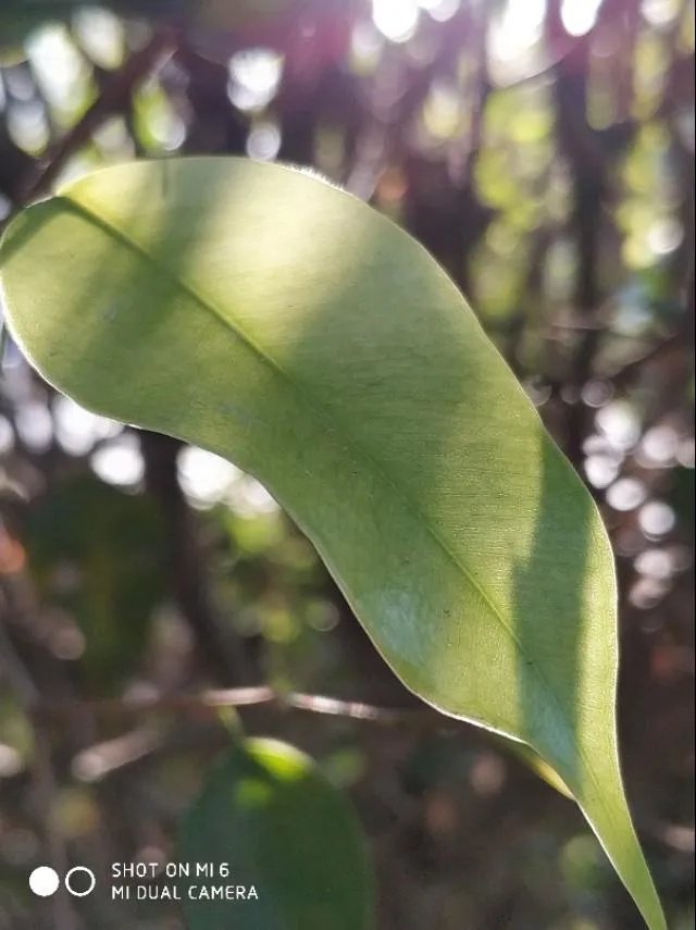 我听说很多女生不喜欢人家叫她小姐姐，那应该怎么叫？