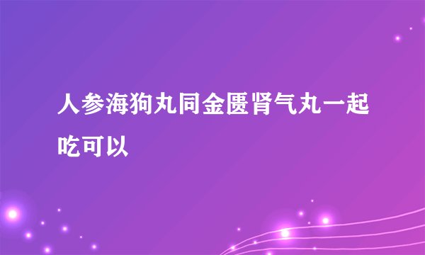人参海狗丸同金匮肾气丸一起吃可以