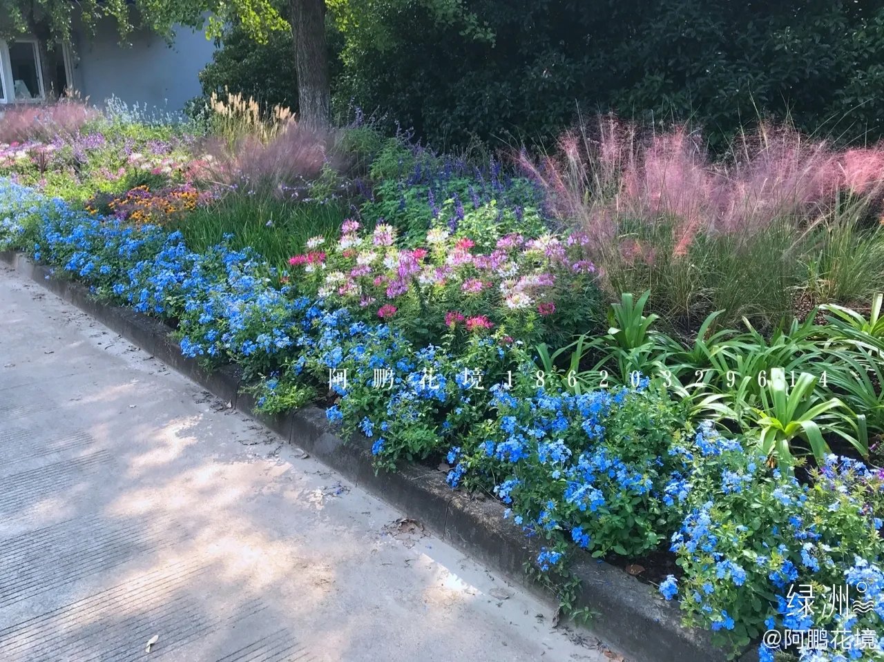 2019，从北京世园会湖南园花境到印象莫奈系列花境花园，从上...