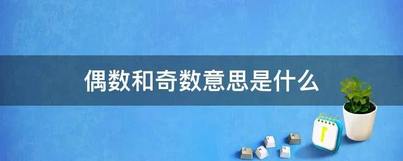 偶数和奇数意思是什么