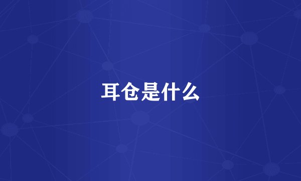 耳仓是什么