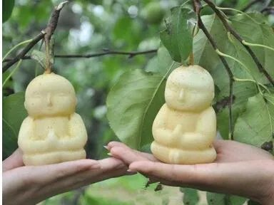 这种方形西瓜是怎么种出来的,好不好吃?