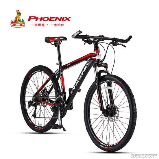 中国自行车遭海外哄抢：凤凰自行车订单排到明年7月