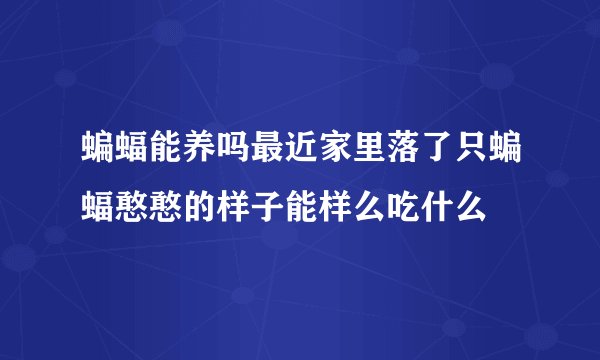 蝙蝠能养吗最近家里落了只蝙蝠憨憨的样子能样么吃什么