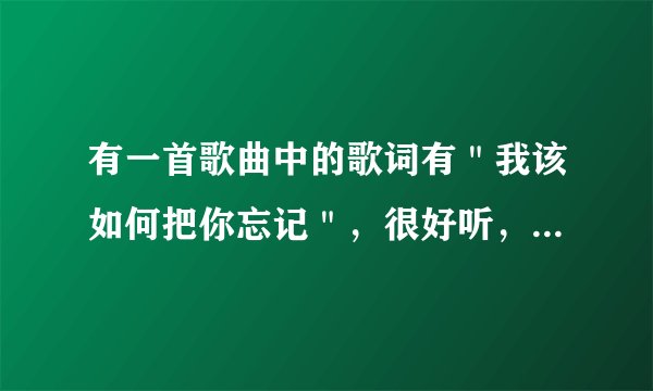 有一首歌曲中的歌词有＂我该如何把你忘记＂，很好听，谁知道是什么歌？