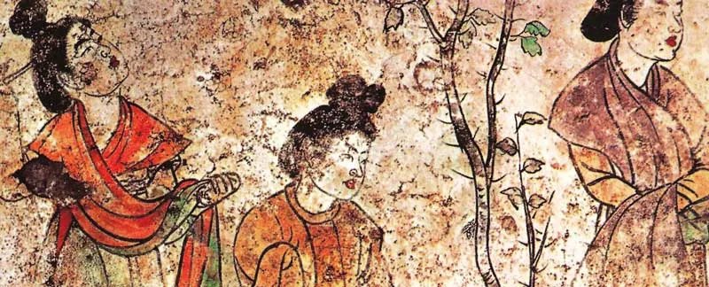 狸猫换太子的故事