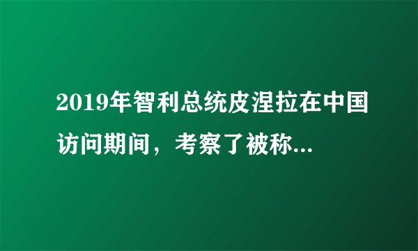 2019年智利总统皮涅拉在中国访问期间，考察了被称为对外开放“窗口”的城市，他不禁发出了这样的感叹：“还有什么是这个城市制造不出来的！”这个城市是（　　）A.南京B.上海C.深圳D.青岛