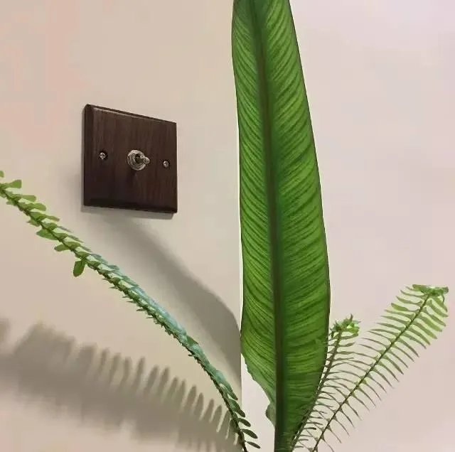 开关面板十大品牌排行是哪些？