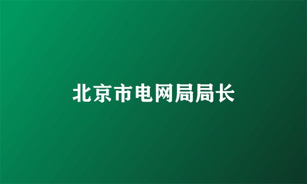 北京市电网局局长