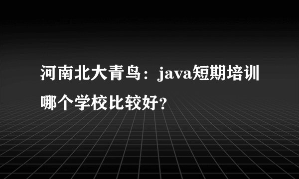 河南北大青鸟：java短期培训哪个学校比较好？