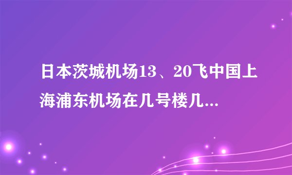 日本茨城机场13、20飞中国上海浦东机场在几号楼几号门接机