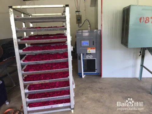 全自动玫瑰花烘干机，快速干燥花类的办法