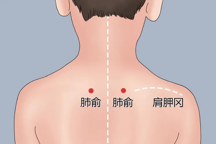 小儿艾灸的常用部位图