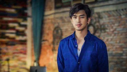 《我想我应该，应该不会爱你》的歌词