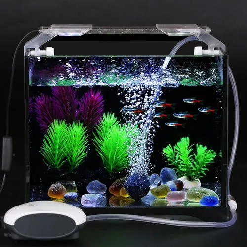 怎样自制鱼缸氧气