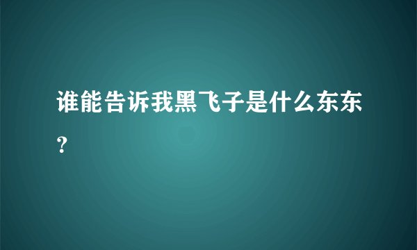 谁能告诉我黑飞子是什么东东？