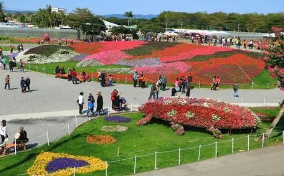 2020年和平广场农博会什么时候开始？