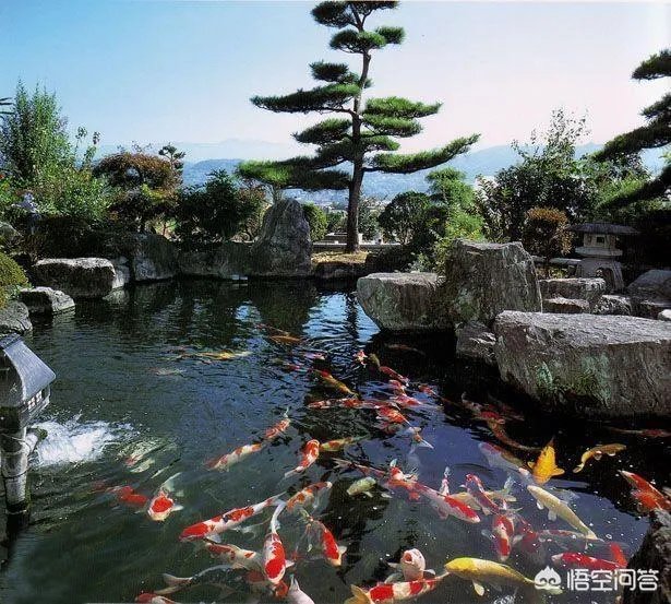 别墅庭院设计要注意哪些？