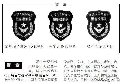 什么是预备役部队？