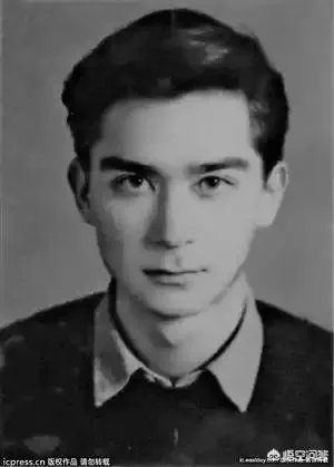 论相貌，王德民和何鸿燊谁帅？