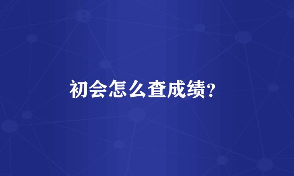 初会怎么查成绩？
